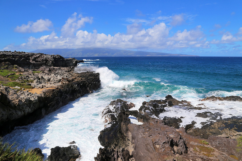 Maui--Kapalua Coastal Trail (70).JPG