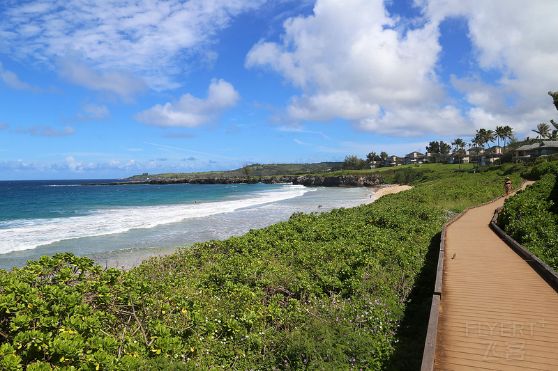 Maui--Kapalua Coastal Trail (77).JPG