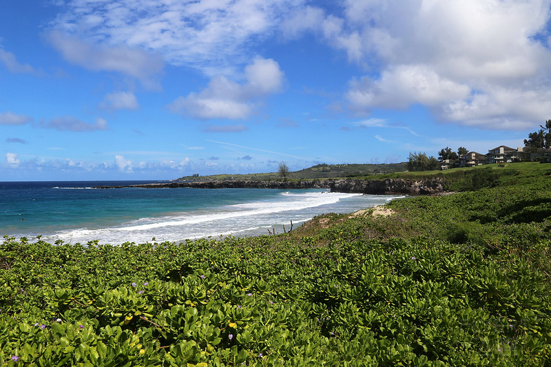 Maui--Kapalua Coastal Trail (78).JPG