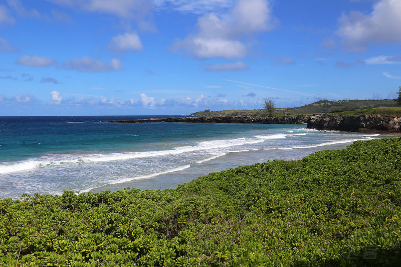 Maui--Kapalua Coastal Trail (79).JPG