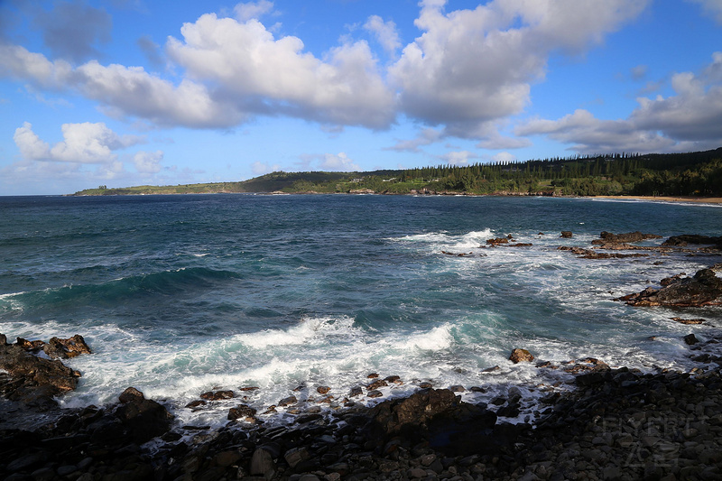 Maui--Kapalua Coastal Trail--Makaluapuna Point (4).JPG