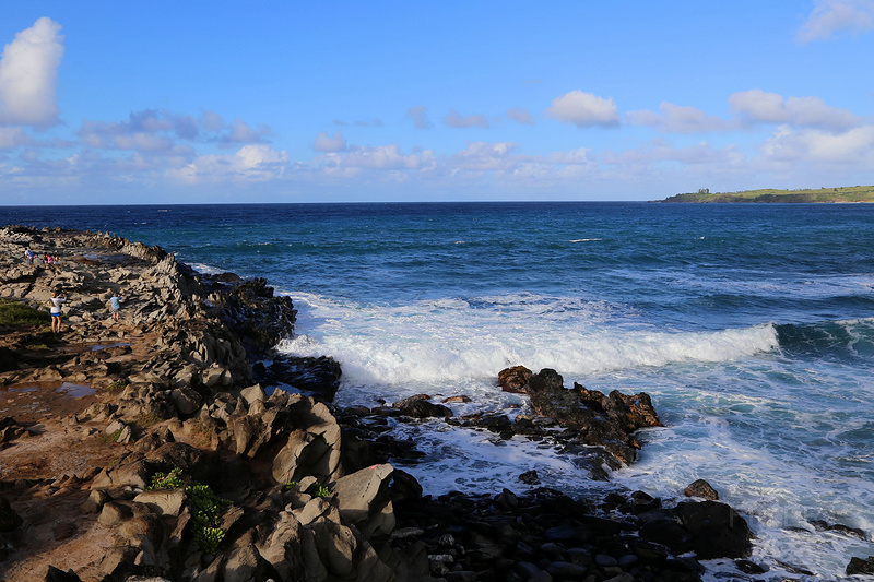 Maui--Kapalua Coastal Trail--Makaluapuna Point (1).JPG