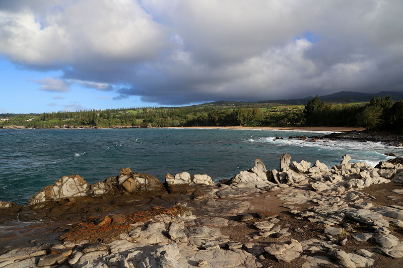 Maui--Kapalua Coastal Trail--Makaluapuna Point (7).JPG