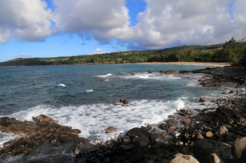 Maui--Kapalua Coastal Trail--Makaluapuna Point (12).JPG