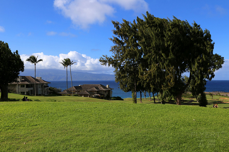 Maui--The Ritz Carlton Kapalua Gardens (13).JPG