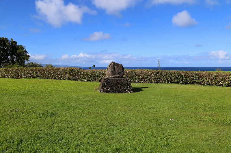 Maui--The Ritz Carlton Kapalua Gardens (10).JPG