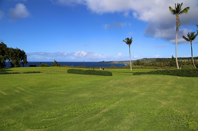 Maui--The Ritz Carlton Kapalua Gardens (19).JPG