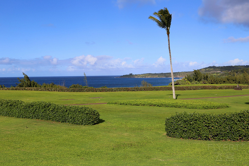 Maui--The Ritz Carlton Kapalua Gardens (20).JPG
