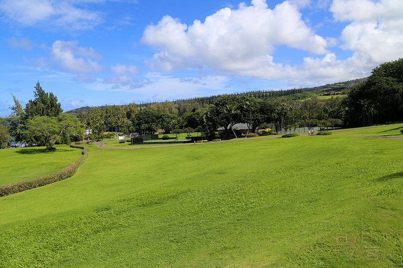 Maui--The Ritz Carlton Kapalua Gardens (35).JPG