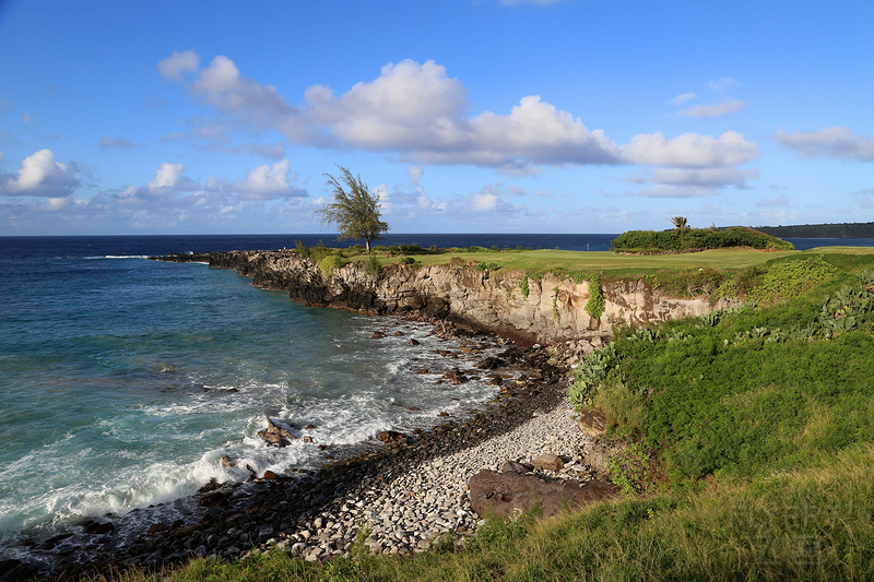 Maui--The Ritz Carlton Kapalua Golf Club (9).JPG