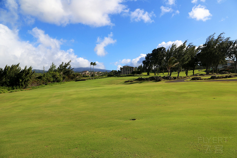 Maui--The Ritz Carlton Kapalua Golf Club (13).JPG