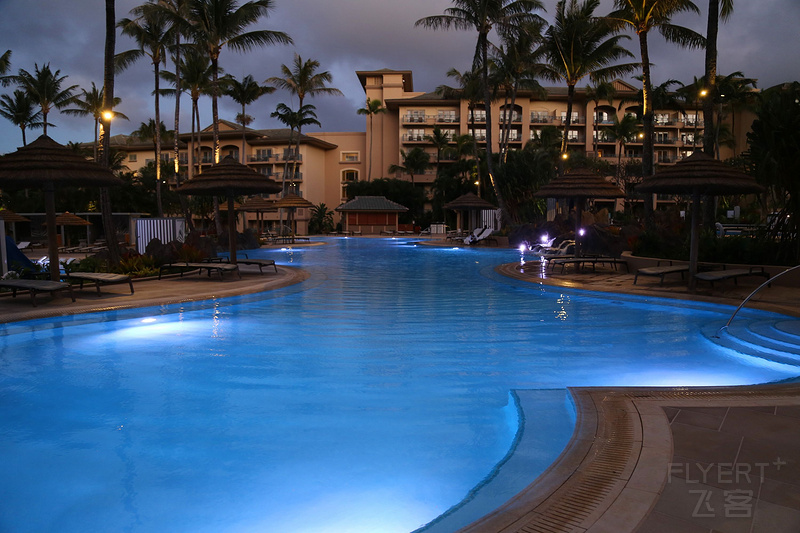 Maui--The Ritz Carlton Kapalua Pools (22).JPG