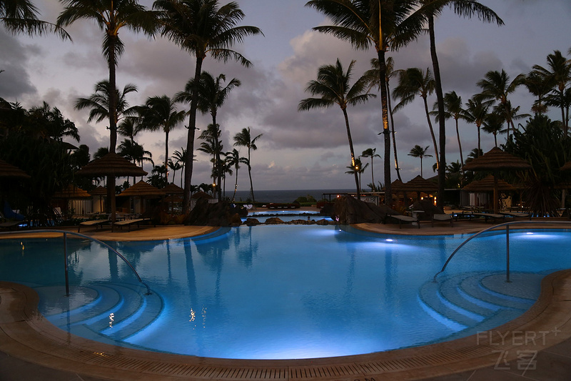 Maui--The Ritz Carlton Kapalua Pools (20).JPG