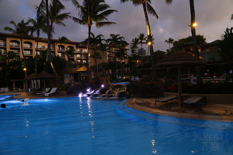 Maui--The Ritz Carlton Kapalua Pools (23).JPG