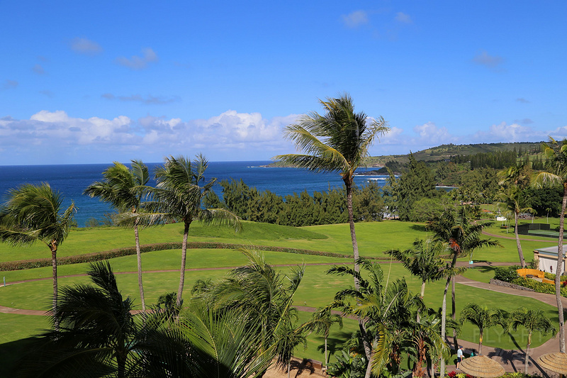 Maui--The Ritz Carlton Kapalua Room View (2).JPG