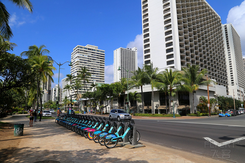 Oahu--Waikiki Beach (20).JPG