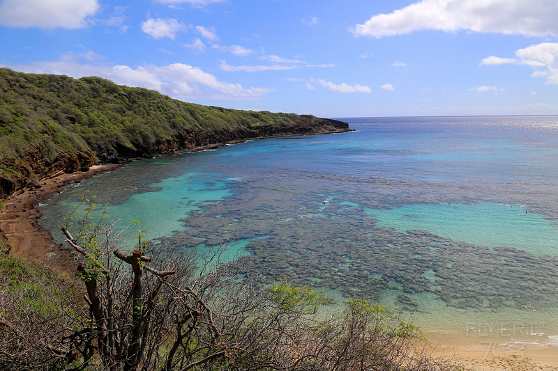 Oahu--Hanauma Bay (19).JPG