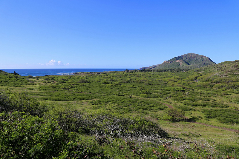Oahu--Makapuu (6).JPG