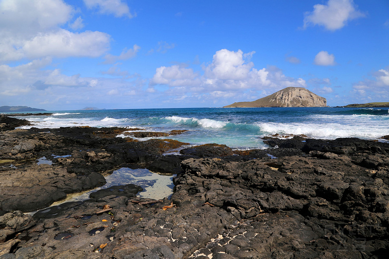 Oahu--Makapuu (39).JPG