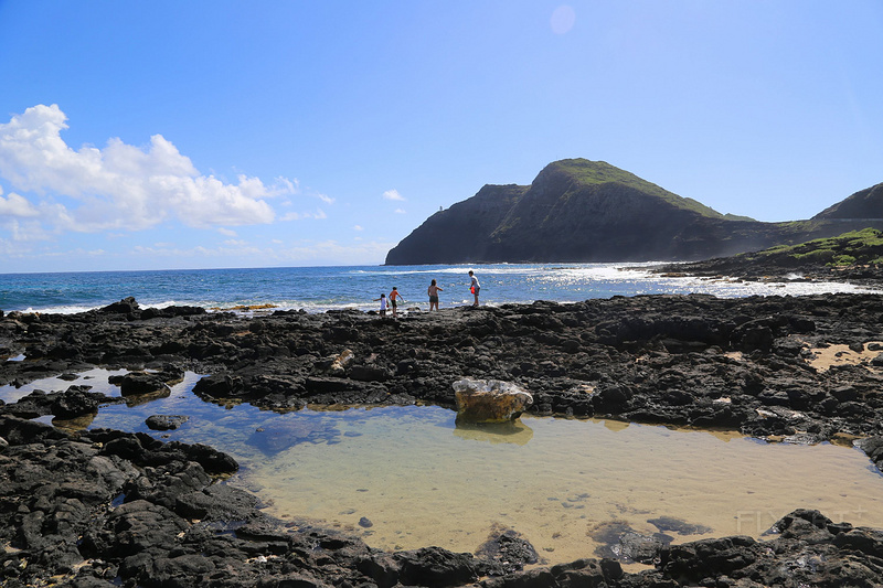Oahu--Makapuu (42).JPG