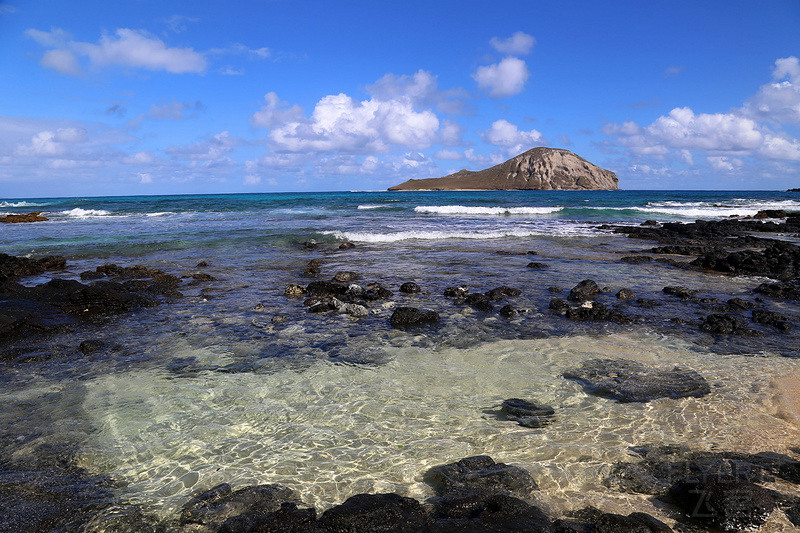 Oahu--Makapuu (44).JPG