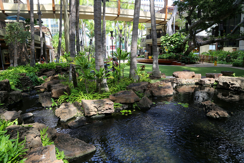 Oahu--The Royal Hawaiian a Luxury  Collection Resort Gardens (9).JPG