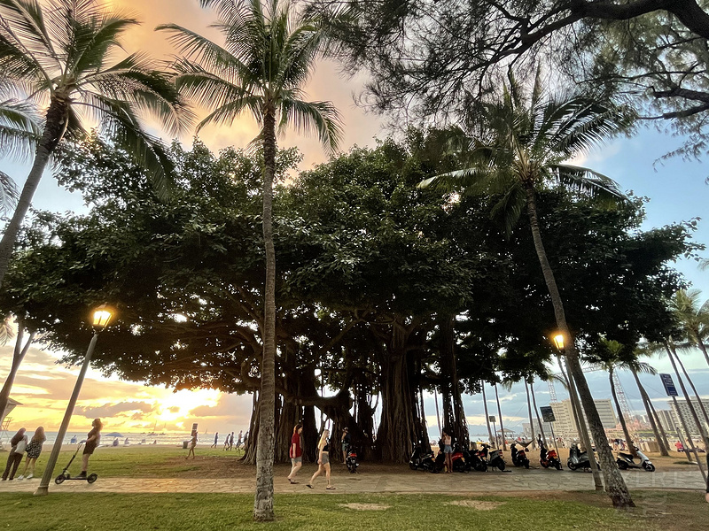 酒店海滩风景.JPG