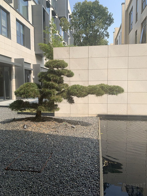 IMG_6583.JPEG IMG_6583.JPEG