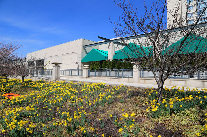 Washington DC--Bethesda North Marriott Hotel and Convention Center Exterior (2).JPG