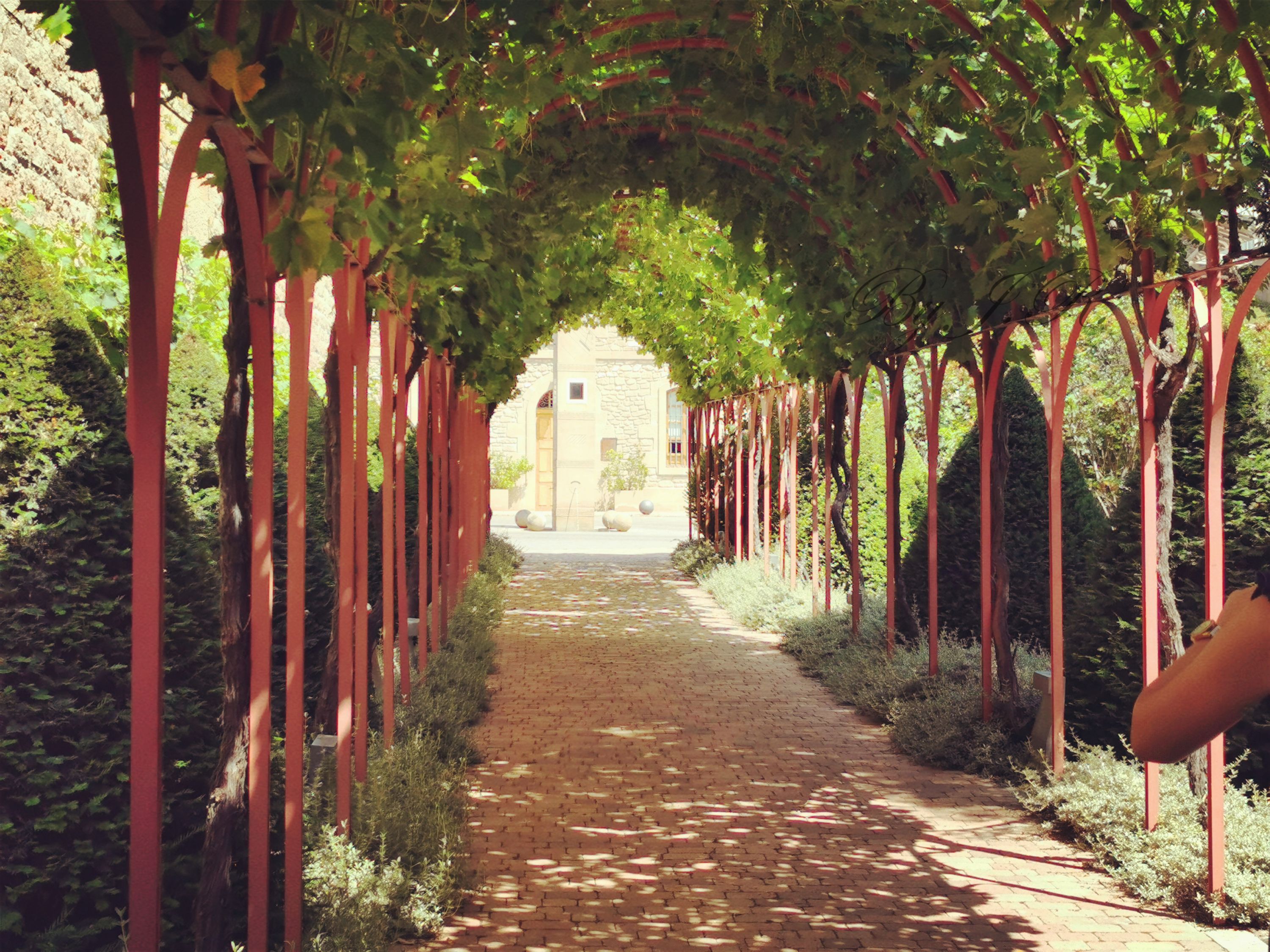 ΢µɫ | Marqus de Riscal, a Luxury Collection Hotel