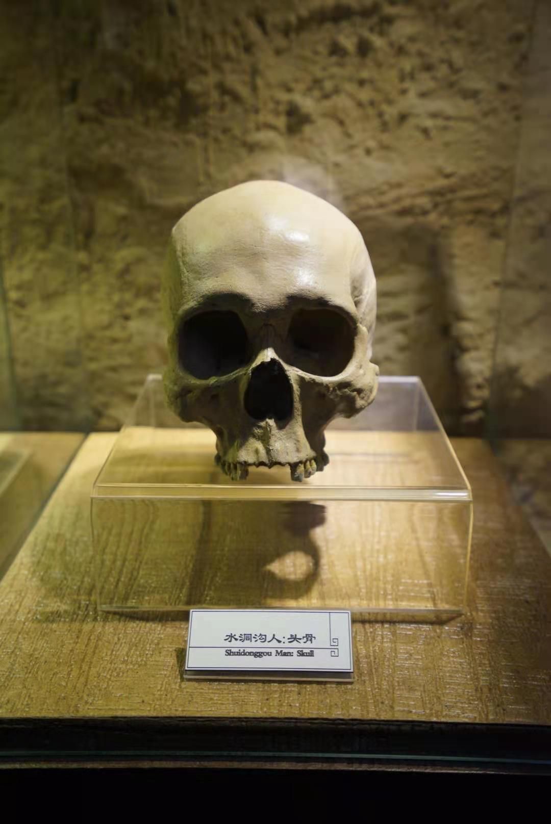 ϡóļվƵ꾫ӢԱĩ