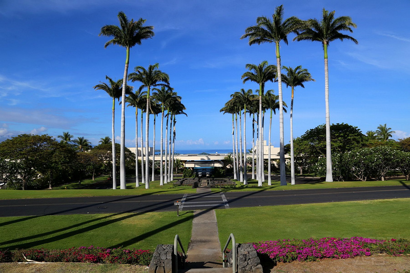 Big Island--The Westin Hapuna Beach Resort Entrance (1).JPG