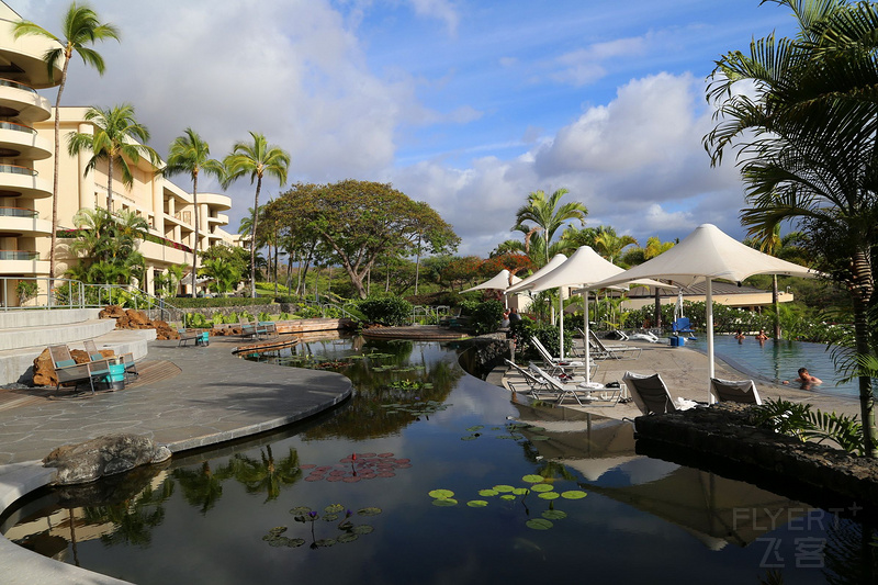 Big Island--The Westin Hapuna Beach Resort Garden and Pools (4).JPG