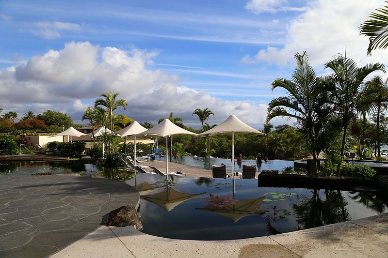 Big Island--The Westin Hapuna Beach Resort Garden and Pools (14).JPG