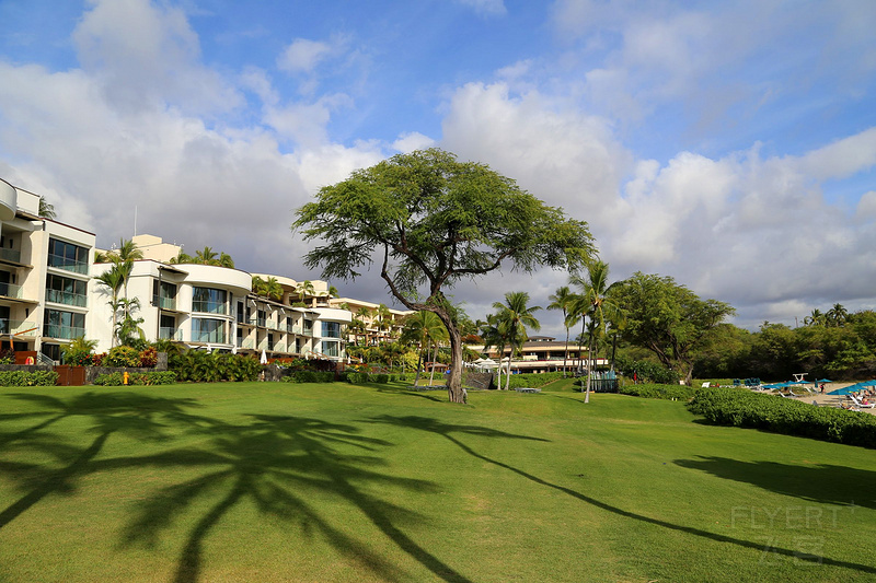 Big Island--The Westin Hapuna Beach Resort Garden and Pools (22).JPG