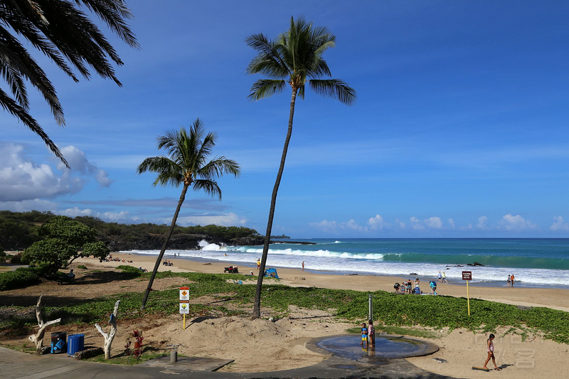 Big Island--The Westin Hapuna Beach Resort Garden and Pools (32).JPG