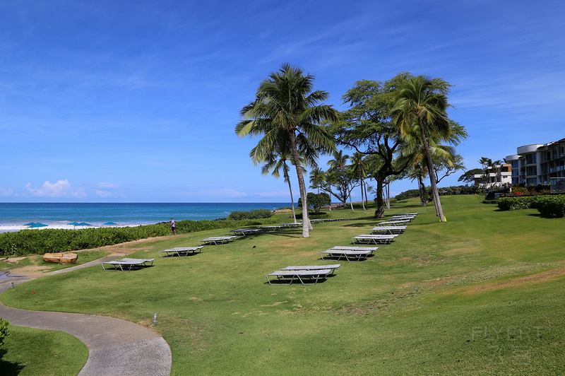 Big Island--The Westin Hapuna Beach Resort Garden and Pools (33).JPG