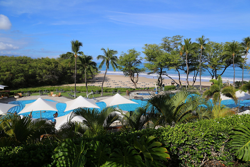 Big Island--The Westin Hapuna Beach Resort Garden and Pools (31).JPG