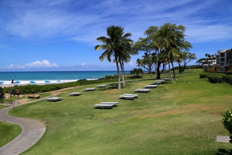 Big Island--The Westin Hapuna Beach Resort Garden and Pools (55).JPG