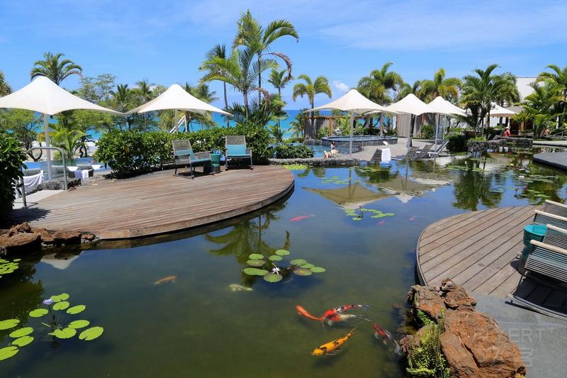 Big Island--The Westin Hapuna Beach Resort Garden and Pools (43).JPG