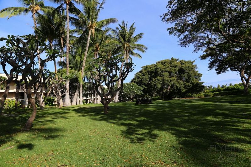 Big Island--The Westin Hapuna Beach Resort Garden and Pools (50).JPG