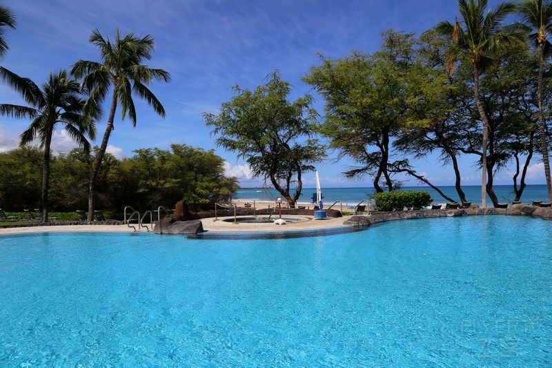 Big Island--The Westin Hapuna Beach Resort Garden and Pools (45).JPG