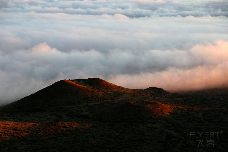 Big Island--Mauna Kea (70).JPG