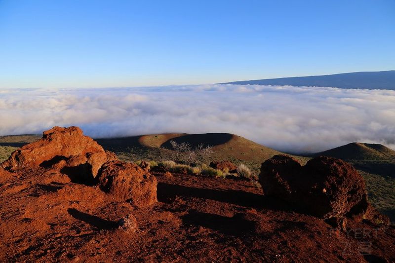 Big Island--Mauna Kea (61).JPG