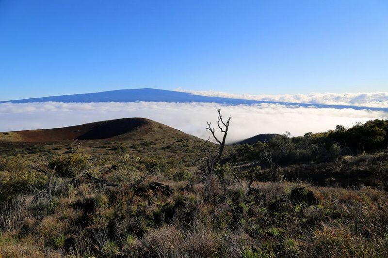 Big Island--Mauna Kea (53).JPG