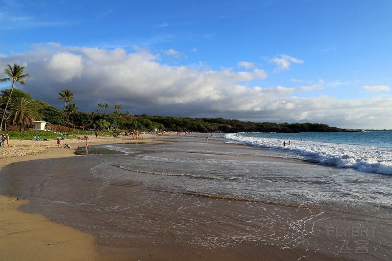 Big Island--The Westin Hapuna Beach Resort Beach (20).JPG