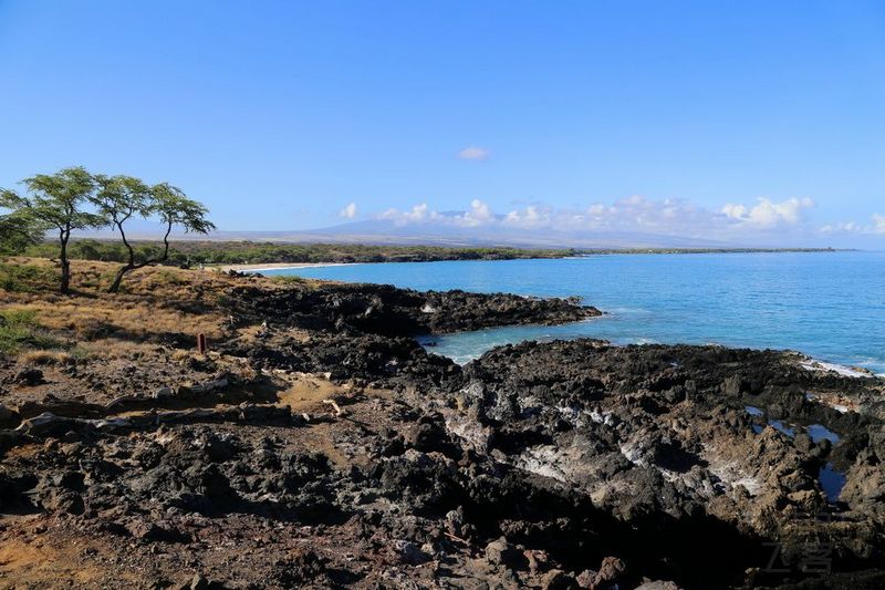 Big Island--The Westin Hapuna Beach Resort Beach (4).JPG