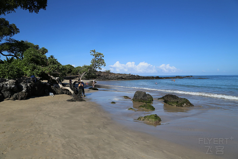 Big Island--Mauna Kea Beach Hotel Autograph Collection Coast (1).JPG