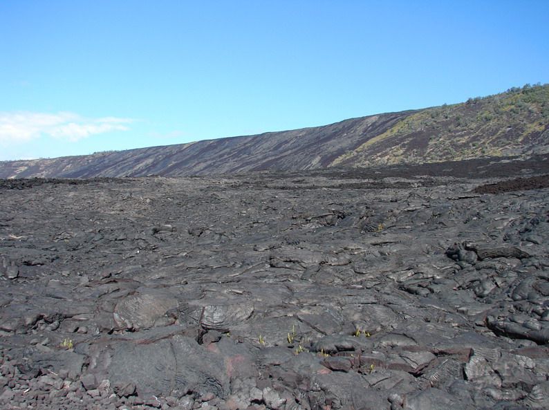 Big Island--Hawaii Volcanoes National Park (27).JPG