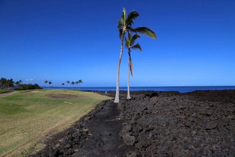 Big Island--Hilton Waikoloa Village Golf Course (8).JPG